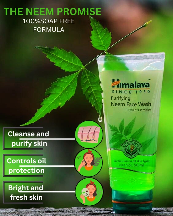 popular-freelance-seo-expert-uae